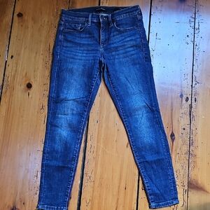 Banana Republic Deep Blue Skinny Jeans
